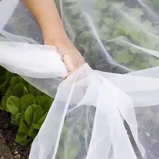 Сетка для грядок