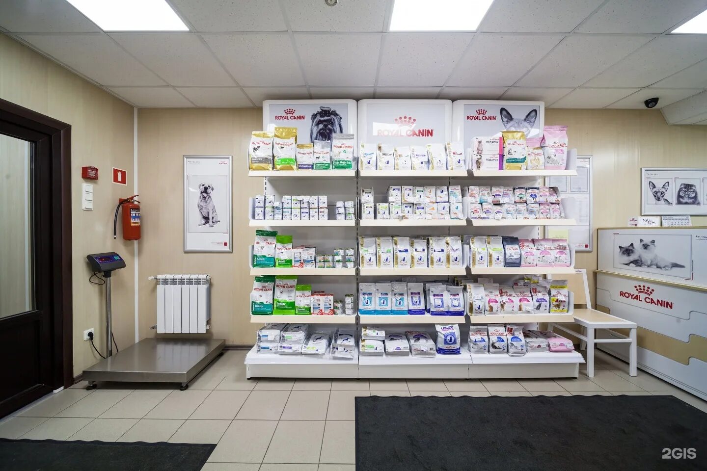 пр. абельмана 9 ковров. сервисный центр телефонов. ремонт телефонов дизайн. экспресс ремонт телефонов.