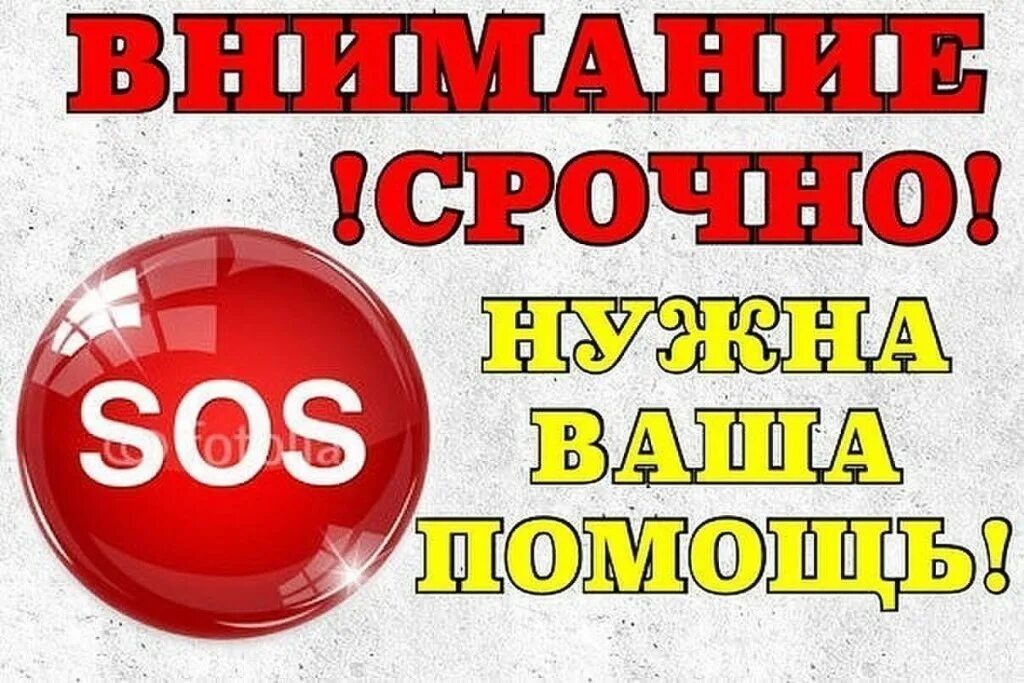 Призыв о помощи. Срочно нужна помощь. Сос нам нужна помощь. Нужна помощь картинка. Срочно сос.