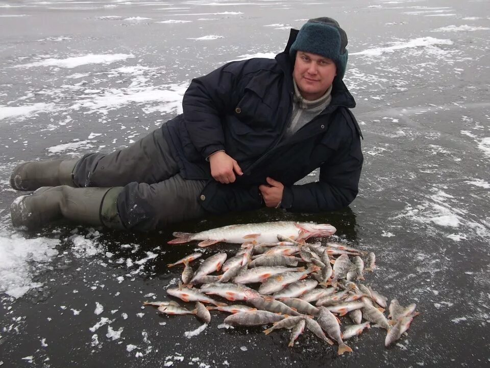 Рыбалка зимой. Зимняя рыбалка улов. Улов рыбака зимой. Улов рыбаков зимой. Улов рыбака интернет магазин каталог