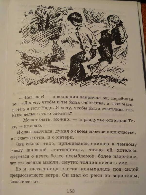 Фраерман повесть о первой любви читать полностью. Рувим Фраерман Дикая собака Динго или повесть о первой любви. Дикая собака Динго книга. Дикая собака Динго, или повесть о первой любви книга. Дикая собака Динго или повесть о первой любви иллюстрации к книге.