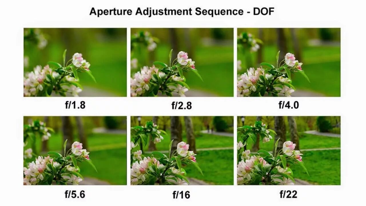 Глубина резкости. Глубина резкости примеры. Глубина резкости в фотоаппарате. Диафрагма фотоаппарата глубина резкости. Сравнить f 3 и f 3