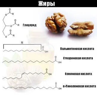 Химический состав грецкого ореха