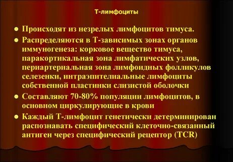 Т зависимая
