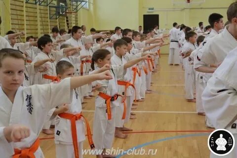 11 кю в каратэ
