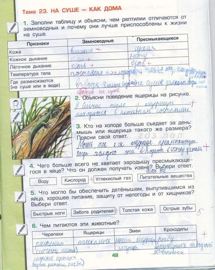 Стр 49 окружающий мир 3 класс. Что гремит в природе. рабочая тетрадь по окружающему миру 3 класс страница 49 1. блестит окружающий мир. гдз окружающий мир 3 класс рабочая тетрадь вахрушев 1 часть.
