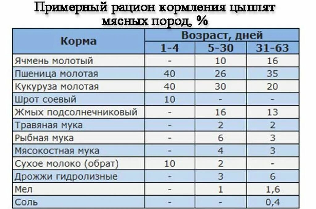 Сколько нужно корма курам в день. Нормы рационов нормы и рационы кормления кур. Рацион питания кур бройлеров. Норма питания цыплят несушек. Норма корма для цыплят несушек.