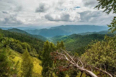 Рп5 абаза хакасия