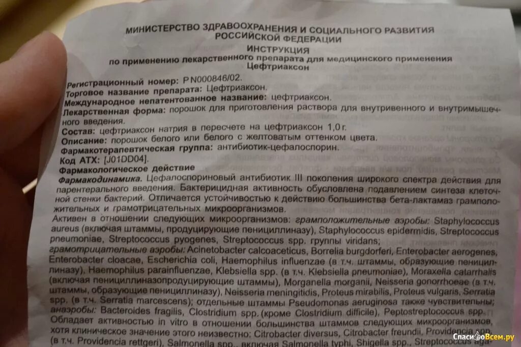 Сколько нужно цефтриаксона взрослому. Цефтриаксон ампулы инструкция. Антибиотик цефтриаксон уколы инструкция. Цефтриаксон уколы инструкция. Амикацин антибиотик инструкция.