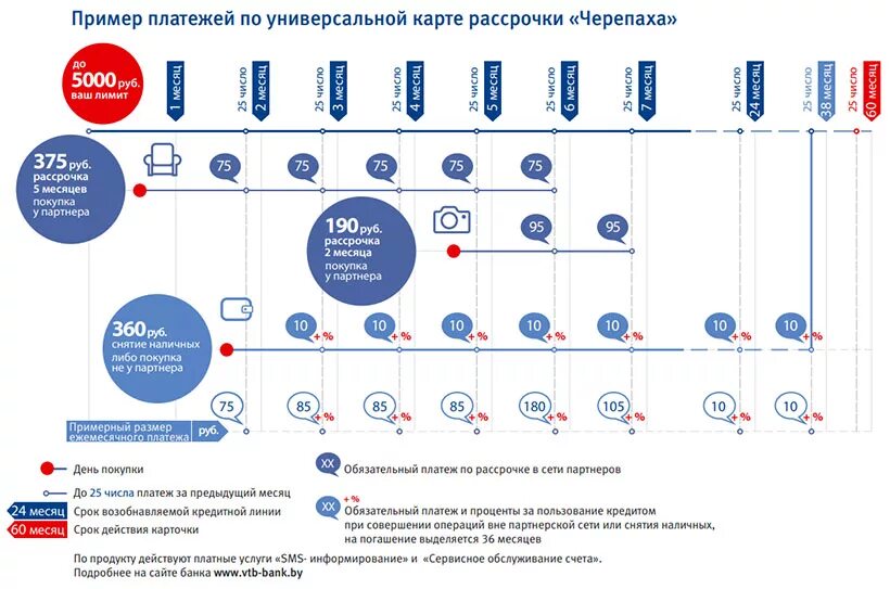 Черепаха карта рассрочки. Карта черепаха ВТБ банк. Карта рассрочки ВТБ. Карта рассрочки ВТБ банк.