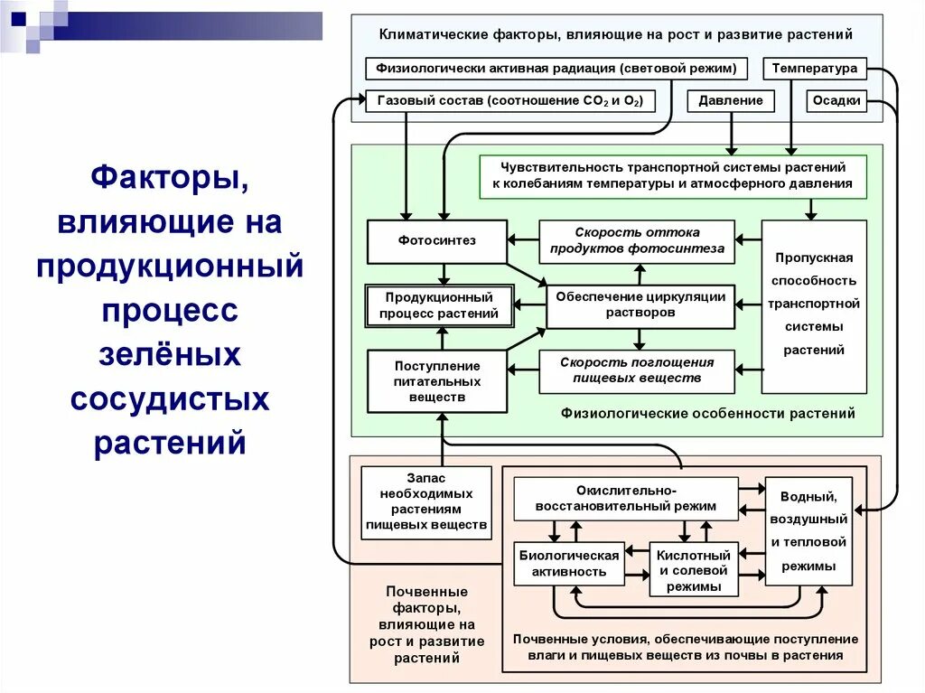 Факторы влияющие на развитие региона. Факторы влияющие на рост растений. Факторы влияющие на развитие растений. Факторы среды влияющие на растения. Влияние внешних факторов на развитие растений.