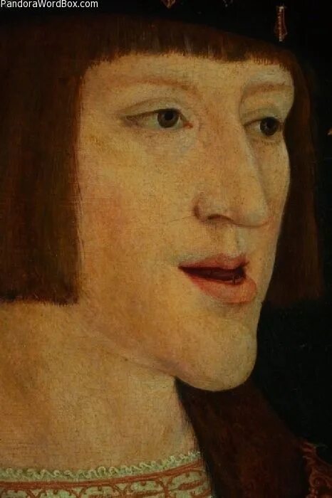 Габсбурги кровосмешение. Династия габсбургов портреты. габсбурги династия кровосмешение. габсбурги династия губа. династия габсбургов челюсти.