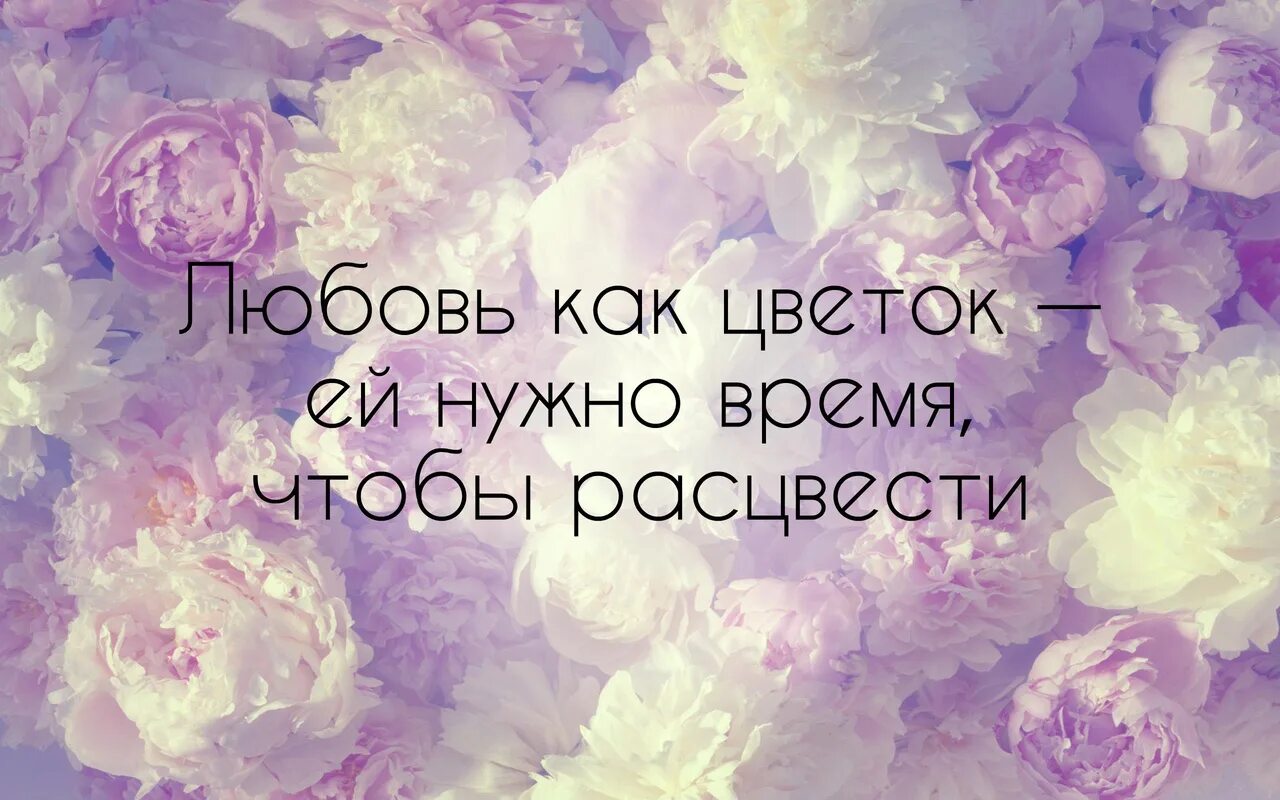 В нужное время 15. Высказывания о цветах. Высказывания про цветы. Красивые фразы о цветах. Цитаты про цветы.