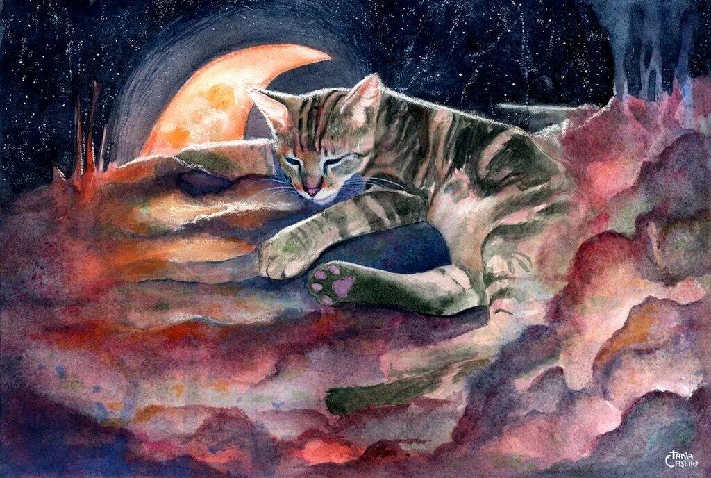 Волшебный кот. Лунные коты. Кошачий сон. Лунный кот акварель. Песня кошка ночь