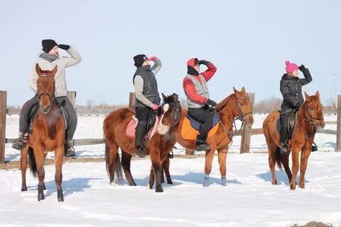 Конный дворик