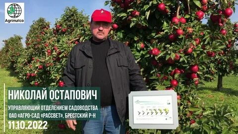 Оао сады