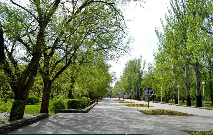 Волгодонская 40 волгодонск. Весенняя улица волгодонск. Весенняя 6 волгодонск. Весенняя 6 волгодонск. Волгодонск природа.