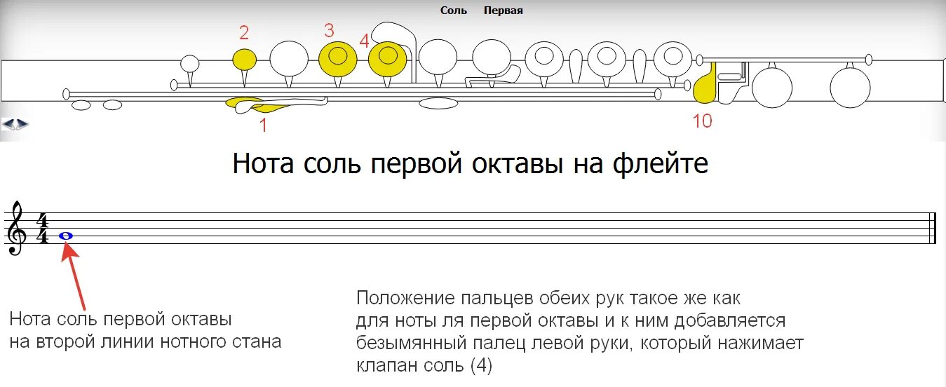 Как играть на флейте. Нота ля второй октавы на блокфлейте. Соль диез 1 октавы. Ре второй октавы на поперечной флейте.