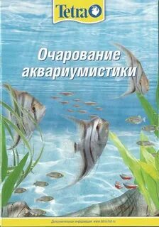 Тетра книга