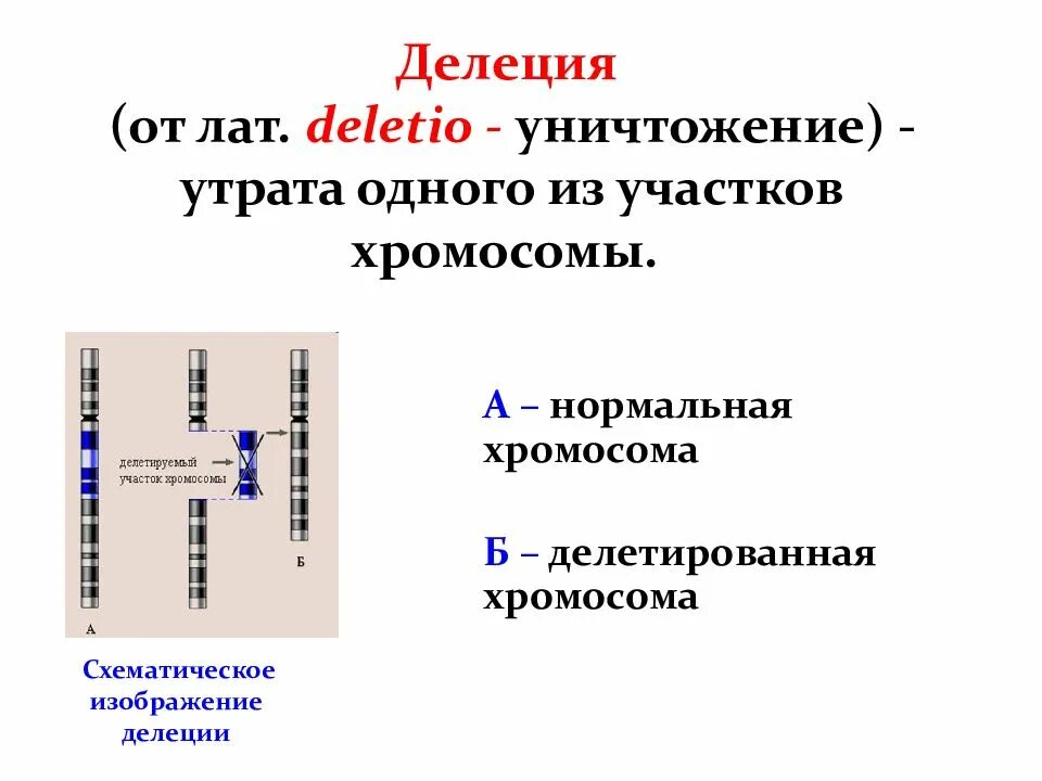Определение делеции. Определение делеции