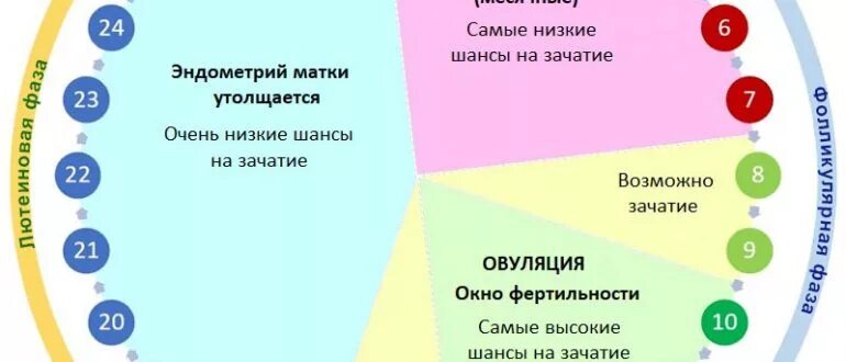 С какого раза вероятность забеременеть. Высокая вероятность забеременеть. Низкая вероятность забеременеть. Самый высокий шанс забеременеть. Беременность цикл вероятность.