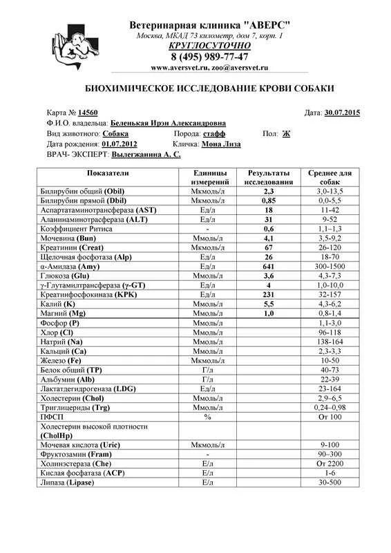 Норма креатинина у собак. Биохимический анализ крови амилаза норма. Биохимия крови собаки норма. Нормативы биохимических показателей крови собак. Таблица норма крови у собак биохимия.