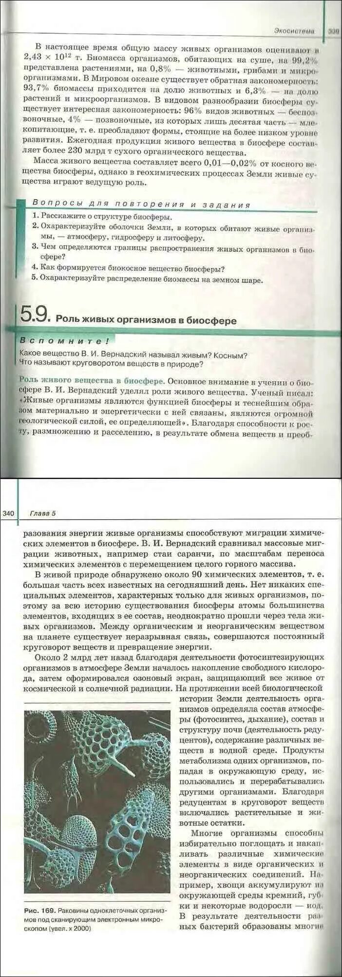 Биология 10 11 агафонова сивоглазов. Биология 11 класс учебник Агафонова Сивоглазов. Биология 9 класс учебник Захаров Сивоглазов. Биология 10 класс учебник Агафонова. Учебник биологии 11 класс Сивоглазов Захарова.