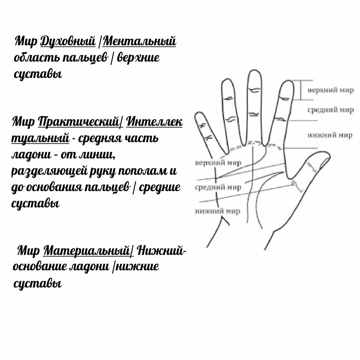 Хиромантия магов. Кольцо Соломона хиромантия. Кольца мага на ладони. Кольцо Соломона на руке хиромантия. Кольцо мага хиромантия.