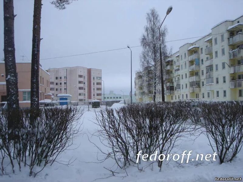 Пионерский лагерь опухлики. Лагерь стремительный псковская область печорский район. Лагерь стремительный псковская область печорский район. Оздоровительный лагерь солнечный печорский район. Лагерь стремительный псков.