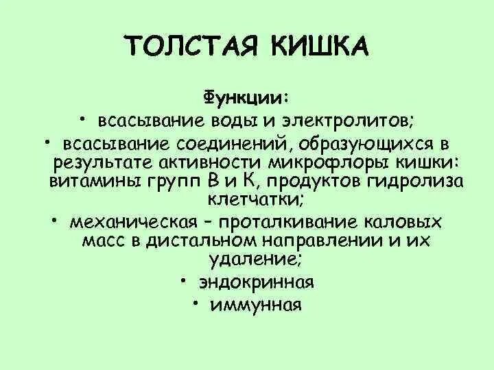 Толстая кишка роль. Толстая кишка функции. Функции толстой кишки. Кишечник функции кратко. Основные функции кишечника.