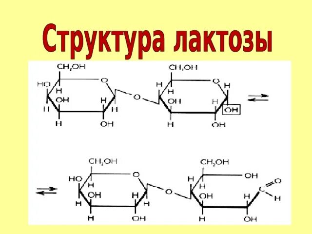 Лактоза структурная формула. Структура лактозы. Лактоза химическая структура. Лактоза строение линейное.