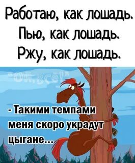Кобыле так с утра