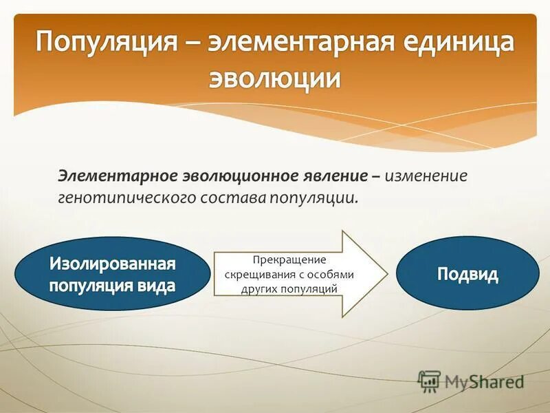 Популяция элементарная единица эволюции. Популяция как элементарная эволюционная единица. Элементарная единица эволюции это. Популяция является элементарной единицей эволюции.