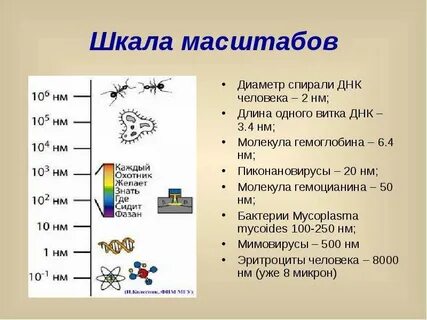 Нм это