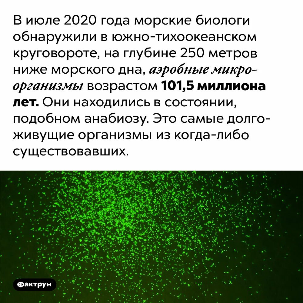 Наиболее долго. Наиболее долго. Наиболее долго. Технеций металл. Куколка бабочки лимонницы.