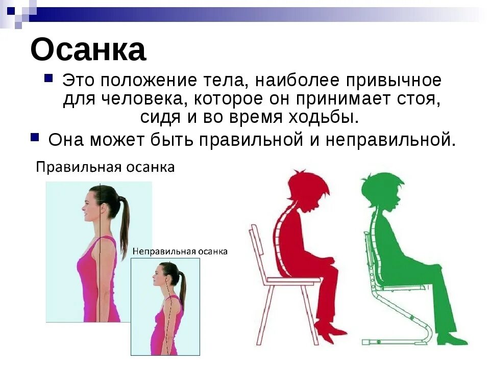 Правильная осанка. Спина в положении сидя. Говорить стоя или сидя. Биомеханика в положении сидя. Осанка человека.