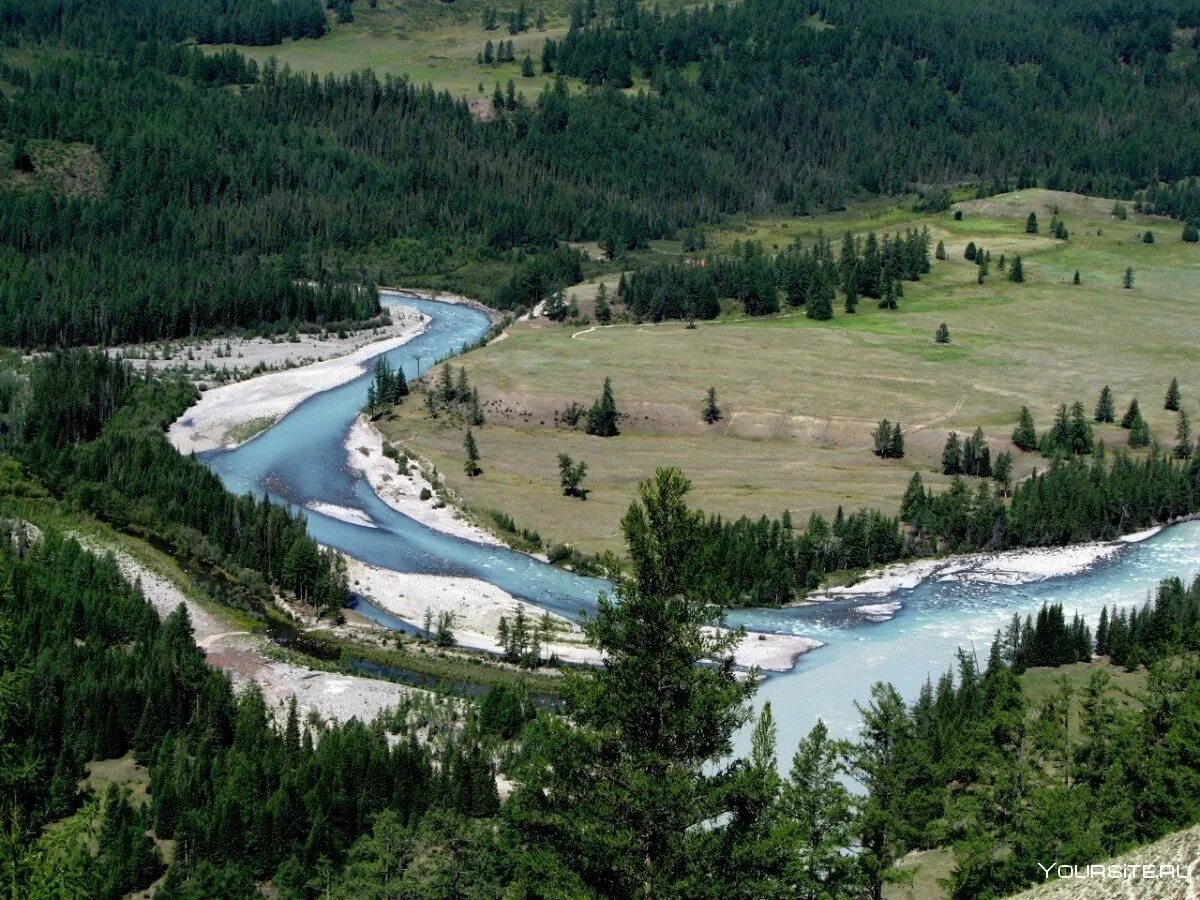 Слияние рек Катунь и кокса горный Алтай. Река Аргут горный Алтай. Бия и Катунь слияние. Исток реки Бия на Алтае.