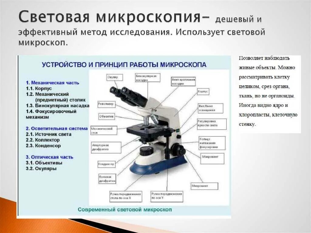 С помощью каких приборов изучают клетки