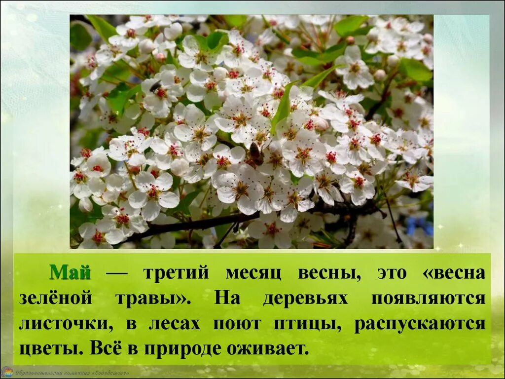 Какие плюсы весны