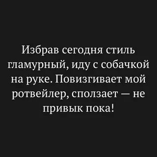 Моя собачка одета дороже тебя текст