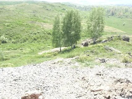 Ивановка алтайский край