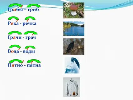 Грач однокоренные