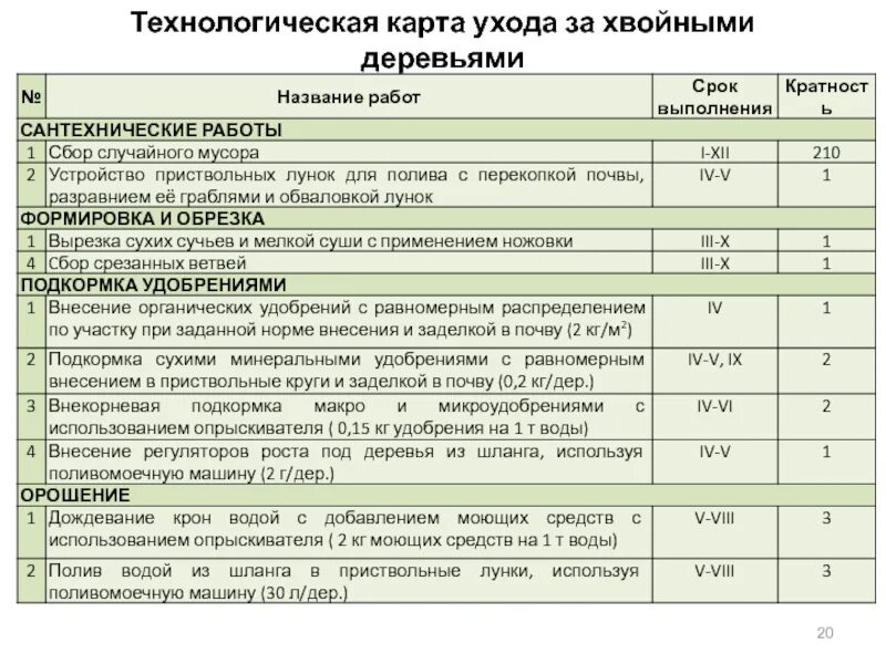 Расписание хвойная. Технологическая карта по уходу за живыми изгородями. Технологическая карта по уходу за хвойными растениями. Технологическая карта хвойных деревьев. Технологическая карта ухода за деревьями.