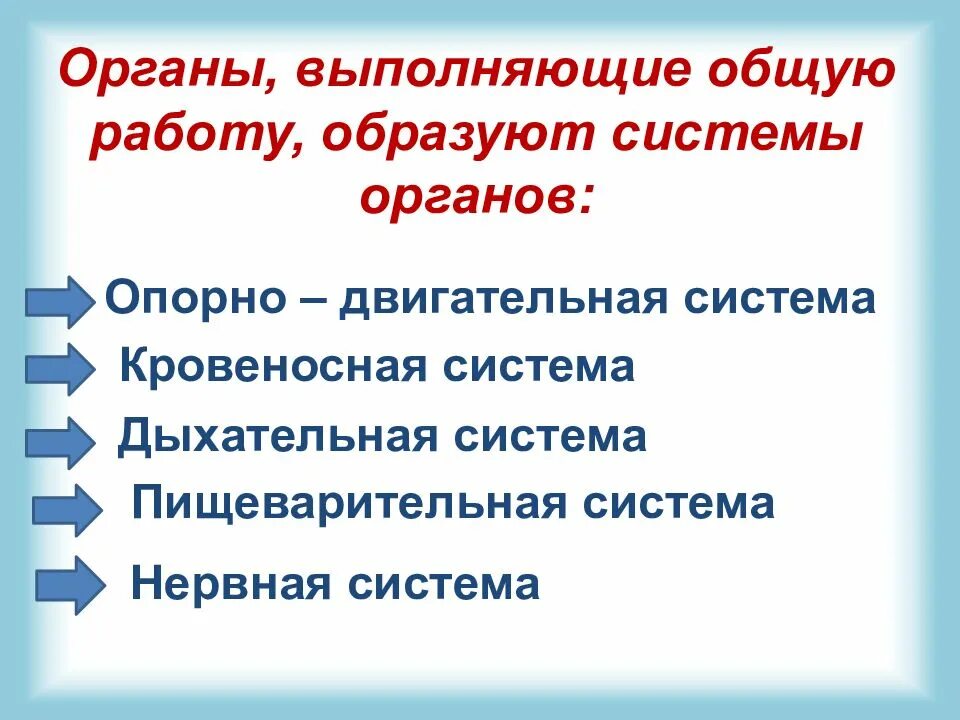 Органы выполняющие