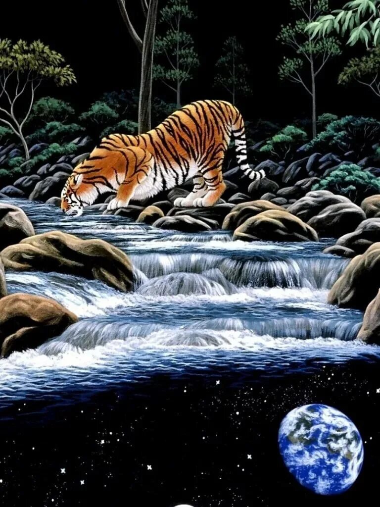 Обои на телефон 240. Картины живой природы. Тигр на заставку. Картины с животными. Живые обои картины.