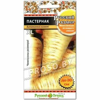 Пастернак русский
