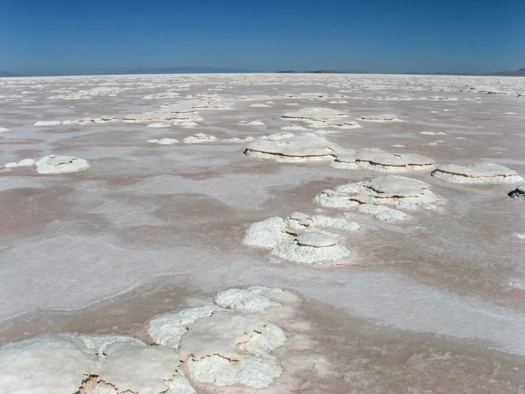 В самых крупных соленых озерах. Соленое озеро Юта. Соленое озеро Боровичи. Большое соленое озеро. Большое соленое озеро США.