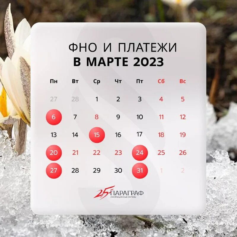 секретарь с цветами. день профессионального бухгалтера. с днём главного бухгалтера поздравления. бухгалтер. день главного бухгалтера открытка прикольная.