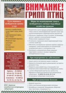 Ветеринарные правила птица