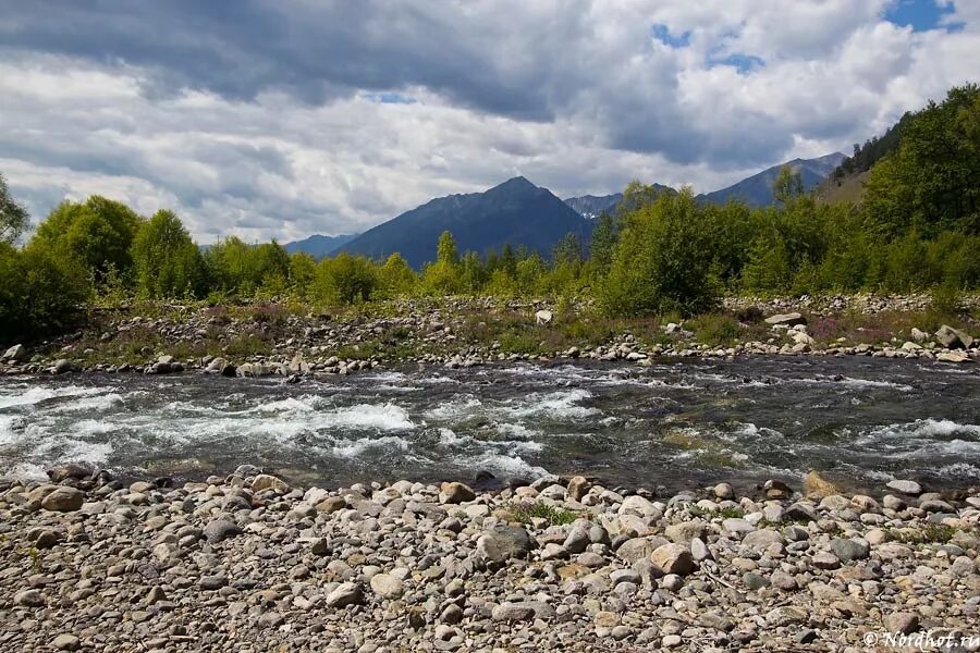 Реки берущие начало в кавказских горах. Река Куркула Байкал. Устье реки Куркула Байкал. Мыс Котельниковский гора Черского. Мыс Котельниковский Байкал.